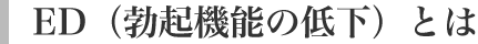 ED（勃起機能の低下）とは