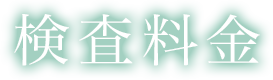 検査料金
